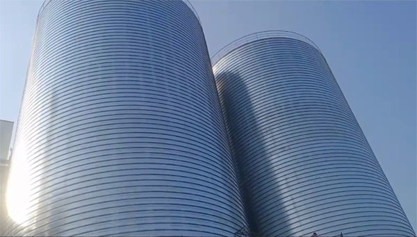 博兴2座混凝土高架卷板仓